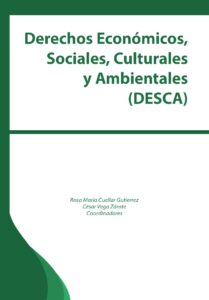 Derechos Económicos, Sociales, Culturales y Ambientales (DESCA)