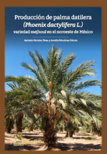 Producción de palma datilera (phoenix dactylifera l.) variedad mejhoul en el noroeste de México